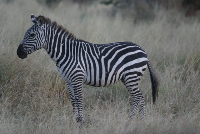 foto tanzania 2006